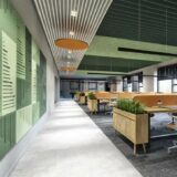 Future of Sound Acoustic Solutions